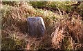 Old Milestone by the A970, Cunningsburgh South