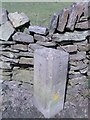 Old Boundary Marker by Cowcliffe Hill Road, Dean Head