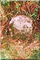 Old Milestone by the A494, Clawdd Poncen, Corwen parish