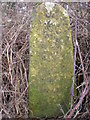 Old Milestone by the A44, north of Cross Hands, Chipping Campden