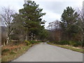 Track to Anancaun Field Centre