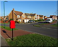 Houses on Cranbourne Drive, Redcar