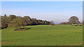 Shropshire farmland south-west of Pattingham