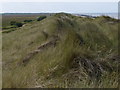 TG4822 : Sand dunes at Bramble Hill, Norfolk by Mat Fascione