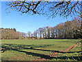 Pasture and woodland near Rudge in Shropshire