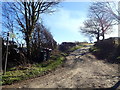 Farm track and bridleway on Moelfre Isaf