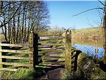 SD6119 : Gate on the West Pennine Way at White Coppice by David Dixon