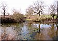 TM3395 : View across the pond by Thwaite Hall Farm by Evelyn Simak