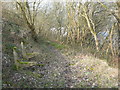 Remains of a seat on Halifax FP733 in Snake Hill Wood