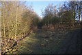 Path leading to Waggon Lane, Upton