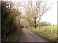 View west along Wellbeck Road