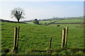 Bolies Townland