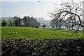 Well trimmed hedge along Bolies Road