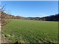 Farmland, Elwy Valley