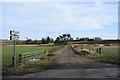 Track to Cauldhame farm