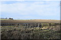 View across the fields