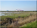 TQ7075 : Higham Marshes by Robin Webster