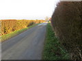 Hedge-lined Crawcroft Lane heading towards Wold View Farm