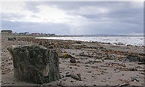 NS3234 : Timbers on Barassie Sands, Ayrshire by Claire Pegrum