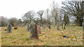 Old graves in Cefn Golau cemetery