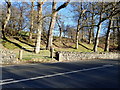 Milestone on the A5