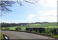 Woodlands of the Dromantine Demesne viewed from Gambles Road