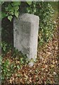 Old Milestone by the A308, Upper Sunbury Road, Hampton