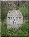 Old Milestone by Longden Road, north of Longden Common