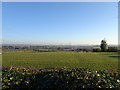 SO8399 : Nurton Hill View by Gordon Griffiths