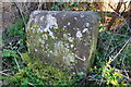 Boundary stone beside B4027