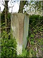 Old milemarker by the Leeds & Liverpool Canal, Whins Bridge