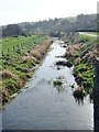 The Newry Canal below Murphy