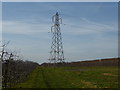 Pylon near Hadlow Place Farm