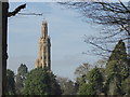 TQ6349 : Hadlow Tower from the south by Marathon