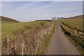 Road from Elsdonburn Shank