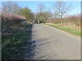 A hedge-lined Ranyard Lane entering Asterby