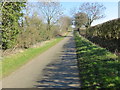 A tree and hedge-lined Ranyard Lane heading towards Darrol House and Asterby