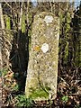 Old Milestone by the A1141, Monks Eleigh