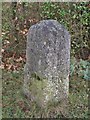 Old Milestone by the B1071, The Heath, Great Waldingfield