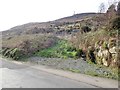 Sheep on the eastern slopes of Faughill Mountain