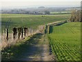 Farmland and footpath, Watlington