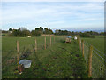 Footpath at Mow House Farm