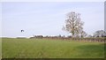 Grassland, Halton