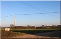 Fields by Maldon Road, Tolleshunt D