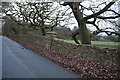 Stone roadside wall