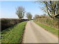 Tossey Lane approaching Red Leas Farm