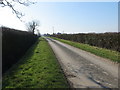 Hedge enclosed Melholme Lane between Grange Farm and Field House