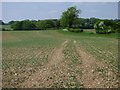 Farmland, Tangley