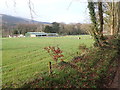 Farm buildings between Aghadavoyle Road and Dromintee Road