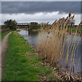 SD4831 : Bridge 21, Lancaster Canal by Ian Taylor